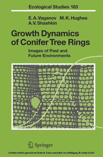 Growth Dynamics of Conifer Tree Rings