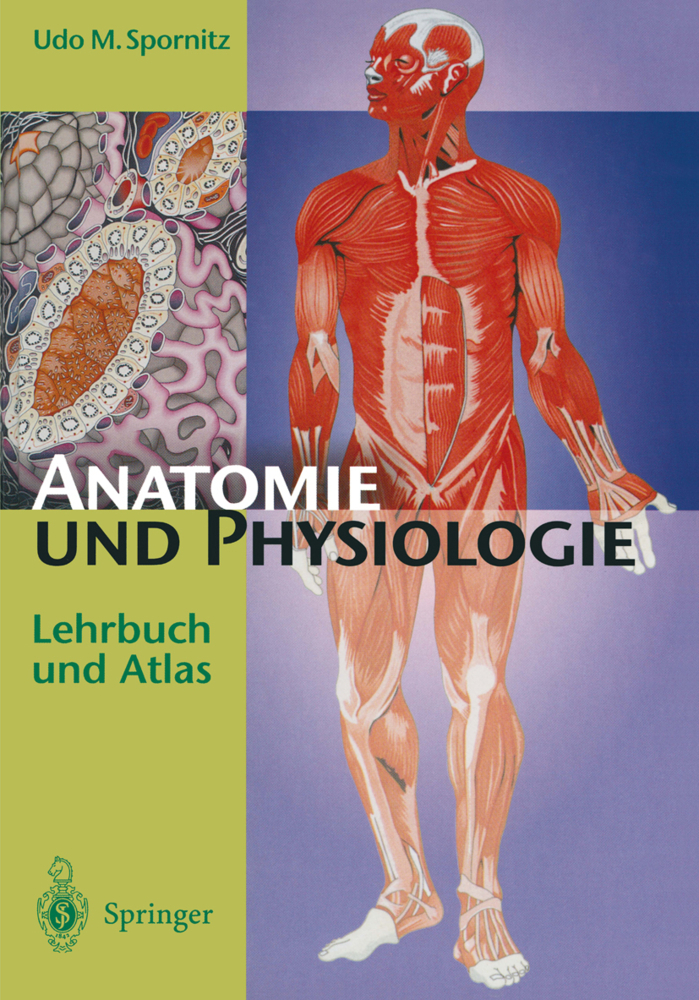 Anatomie und Physiologie