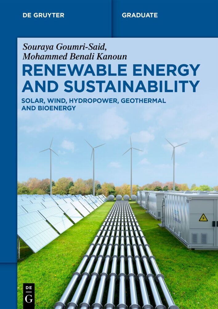 Renewable Energy and Sustainability