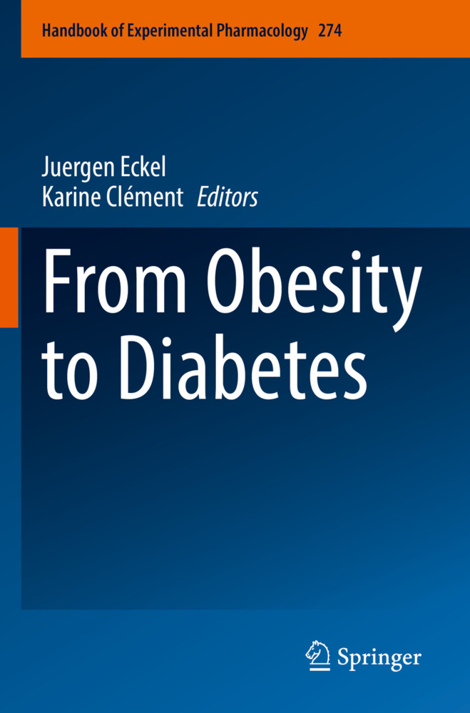 From Obesity to Diabetes
