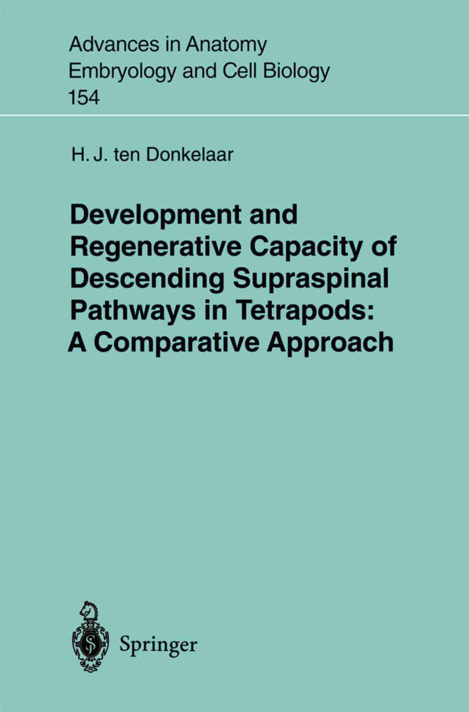 Development and Regenerative Capacity of Descending Supraspinal Pathways in Tetrapods