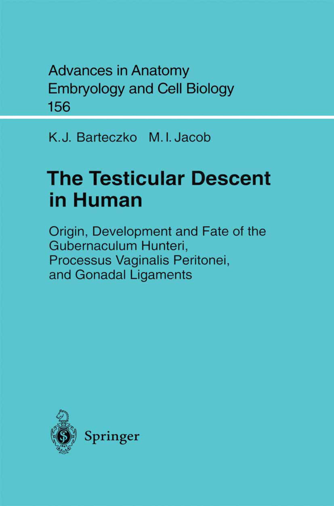 The Testicular Descent in Human