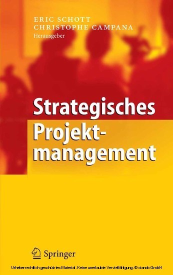 Strategisches Projektmanagement