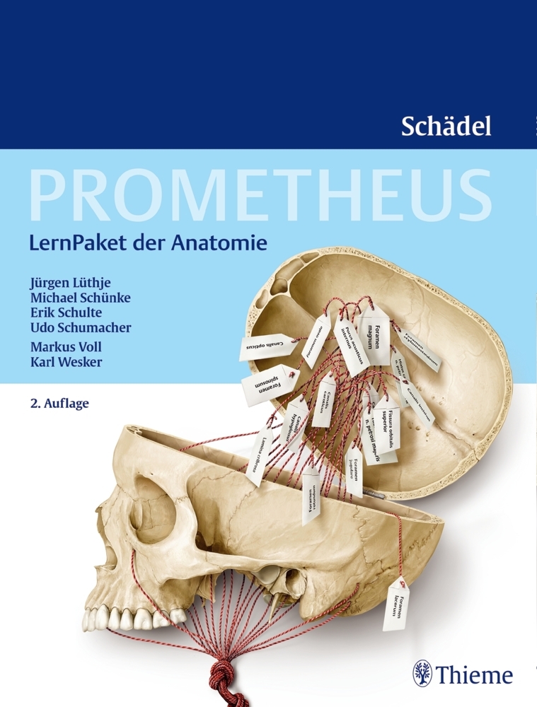 Prometheus Schädel, LernPaket der Anatomie