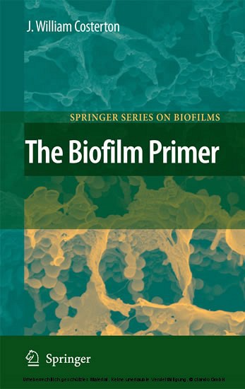 The Biofilm Primer