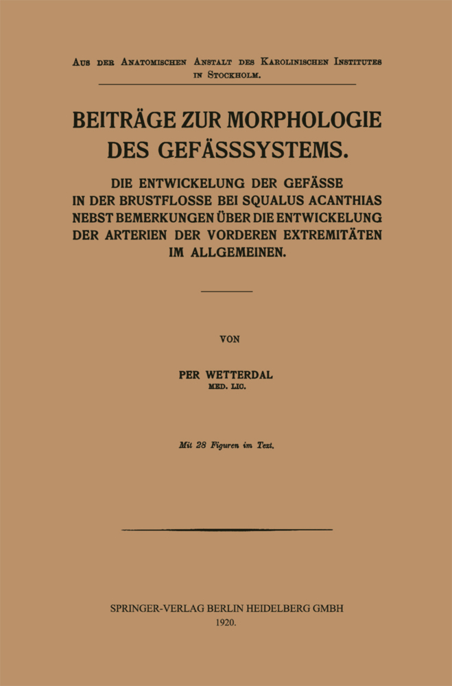 Beiträge zur Morphologie des Gefässsystems