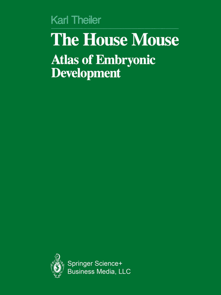 The House Mouse