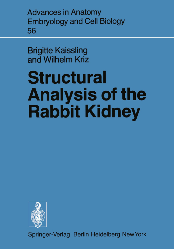 Structural Analysis of the Rabbit Kidney