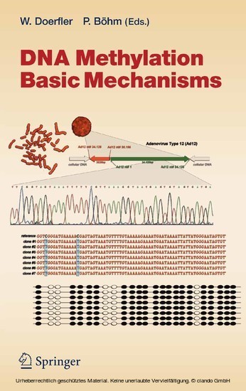DNA Methylation: Basic Mechanisms