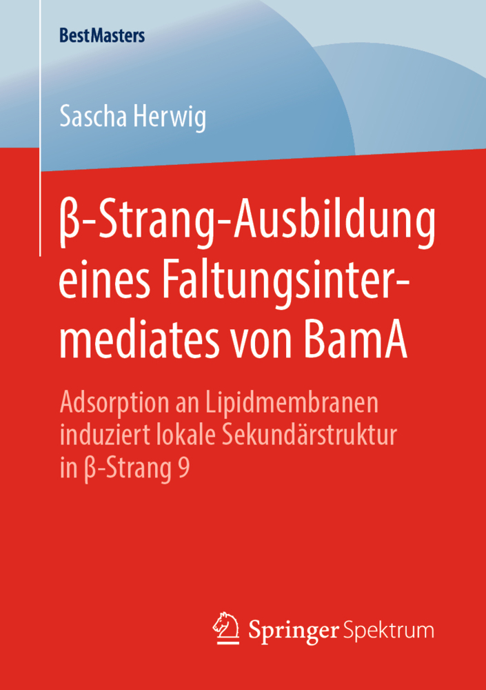 beta-Strang-Ausbildung eines Faltungsintermediates von BamA