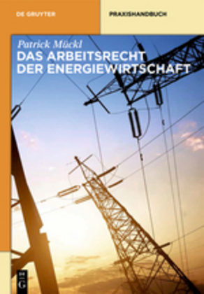 Das Arbeitsrecht der Energiewirtschaft