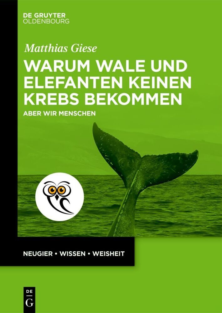 Warum Wale und Elefanten keinen Krebs bekommen