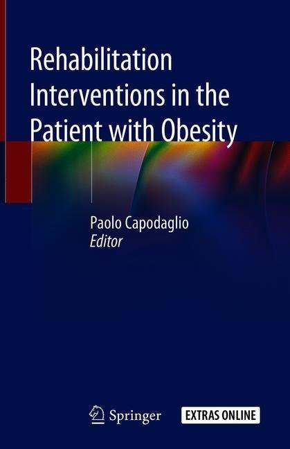 Rehabilitation interventions in the patient with obesity