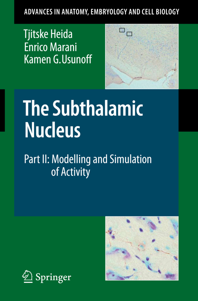 The Subthalamic Nucleus
