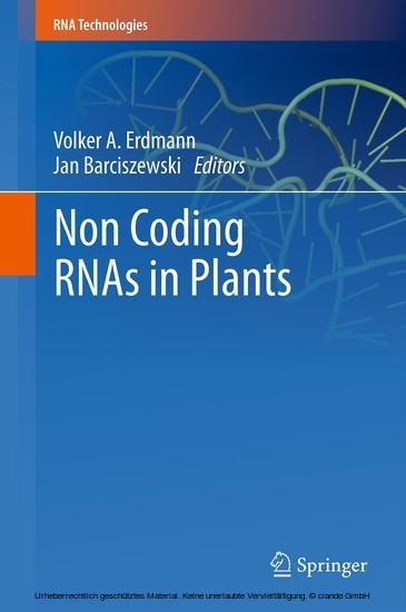 Non Coding RNAs in Plants