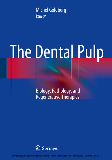The Dental Pulp