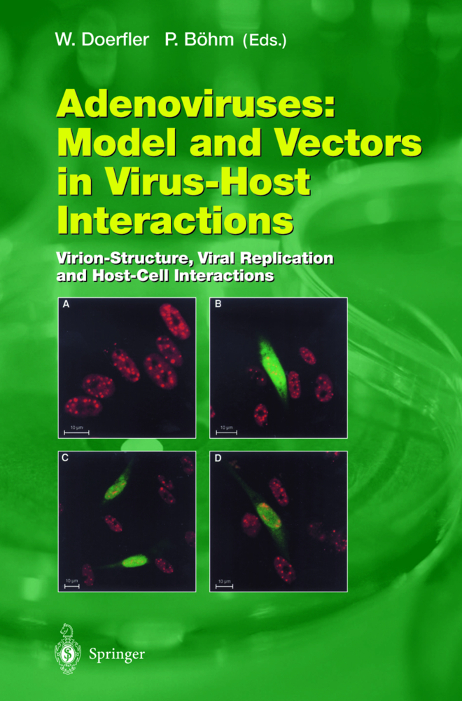 Adenoviruses: Model and Vectors in Virus-Host Interactions