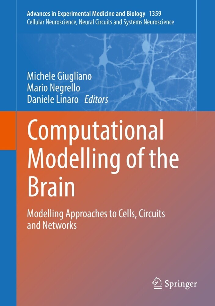 Computational Modelling of the Brain