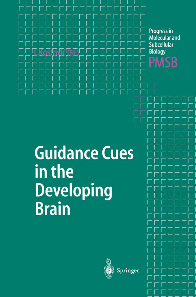 Guidance Cues in the Developing Brain