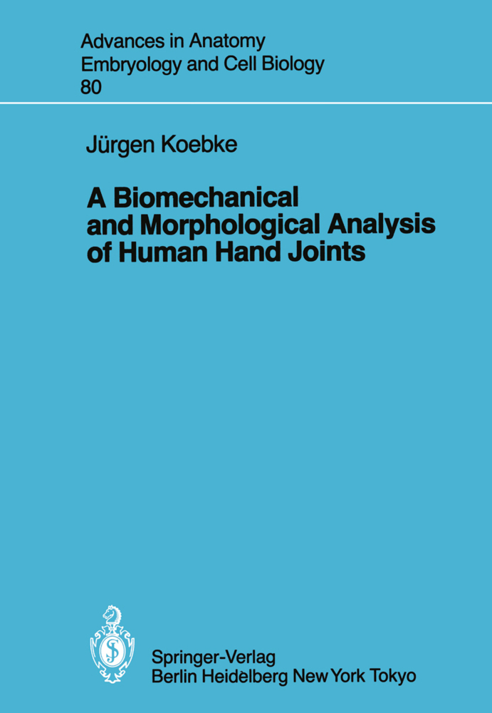 A Biomechanical and Morphological Analysis of Human Hand Joints