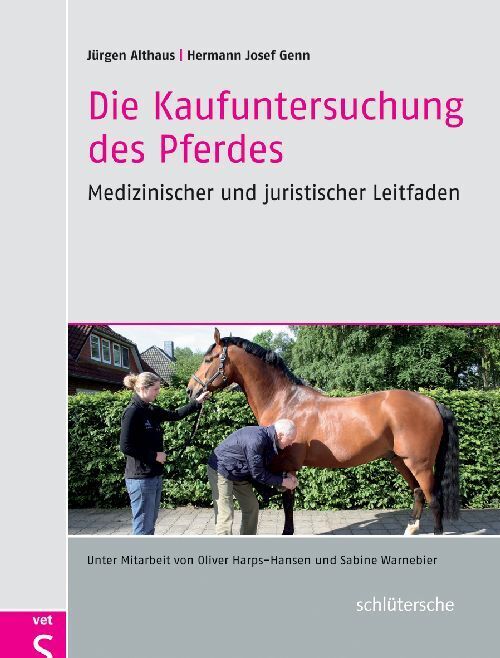 Die Kaufuntersuchung des Pferdes