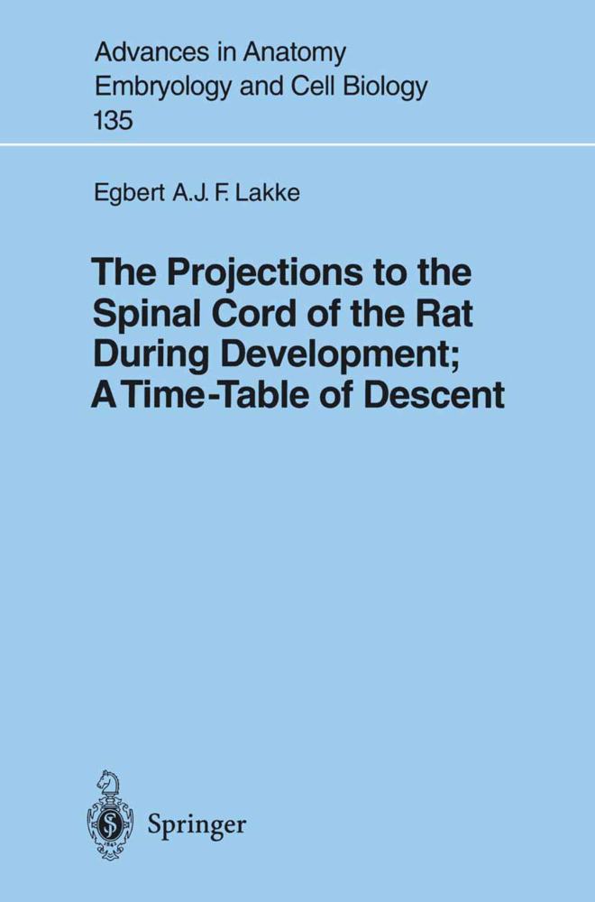 The Projections to the Spinal Cord of the Rat During Development: A Timetable of Descent