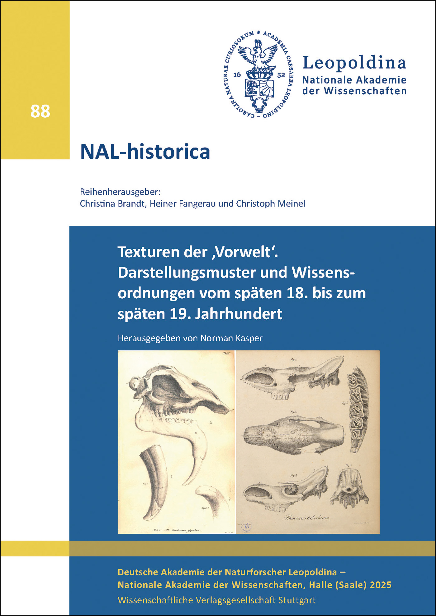 Texturen der ‚Vorwelt‘