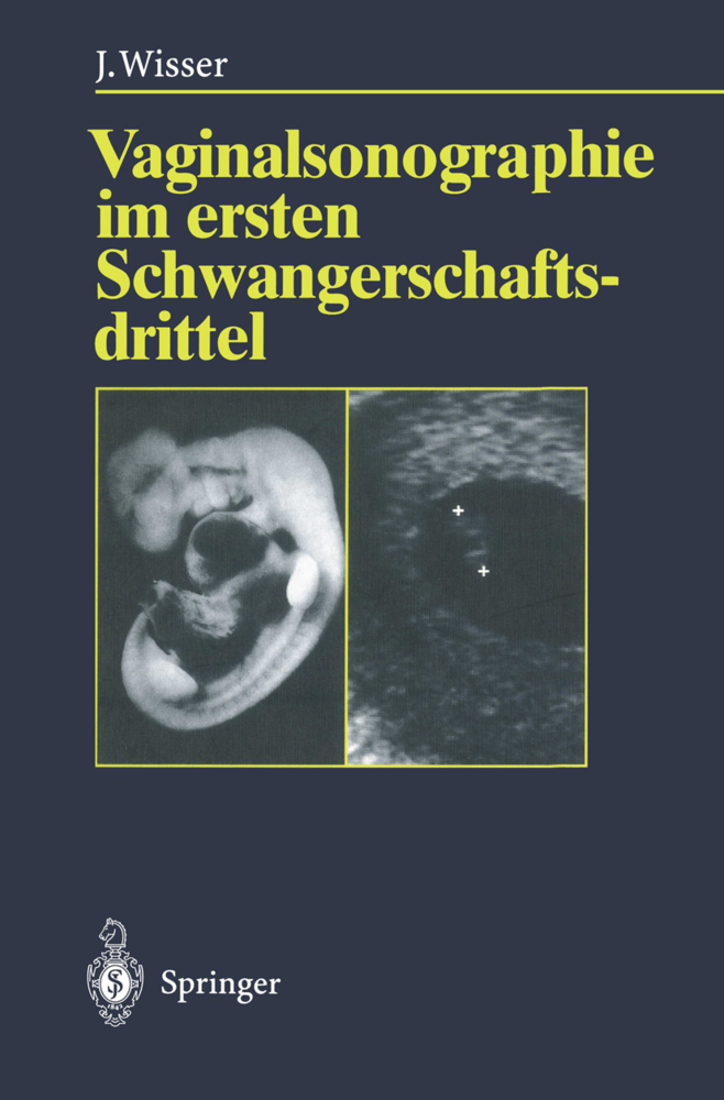 Vaginalsonographie im ersten Schwangerschaftsdrittel