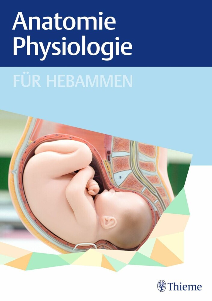 Anatomie und Physiologie für Hebammen