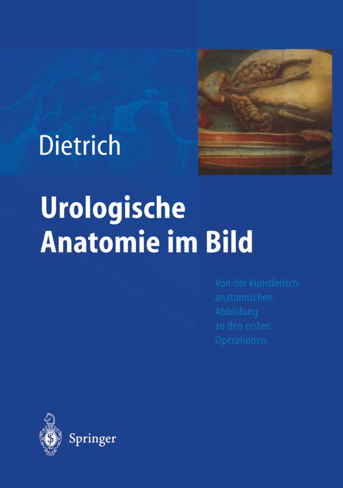 Urologische Anatomie im Bild