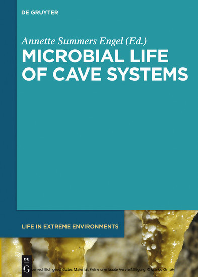 Microbial Life of Cave Systems