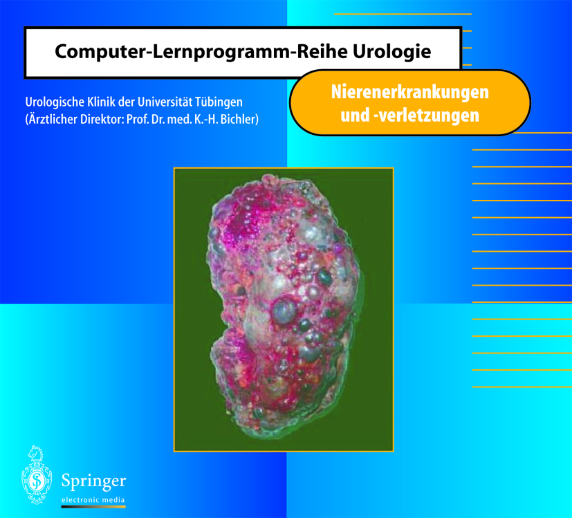 Nierenerkrankungen und -verletzungen, 1 CD-ROM