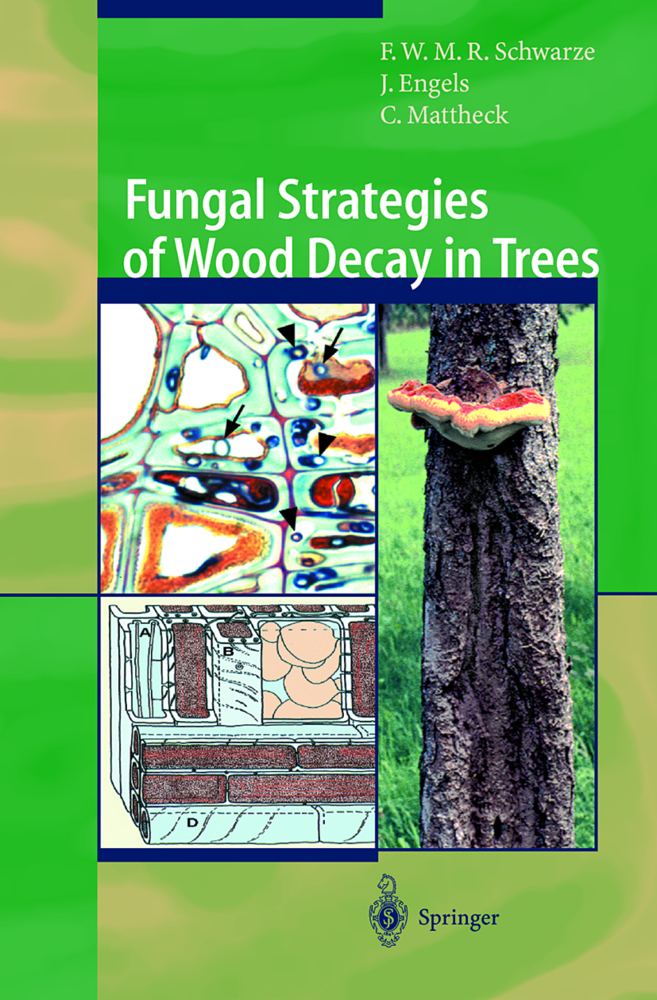 Fungal Strategies of Wood Decay in Trees