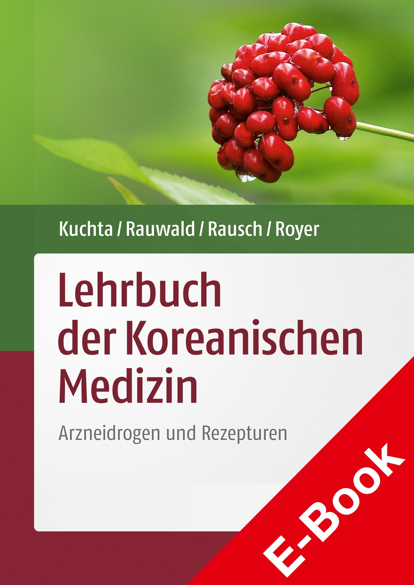 Lehrbuch der Koreanischen Medizin