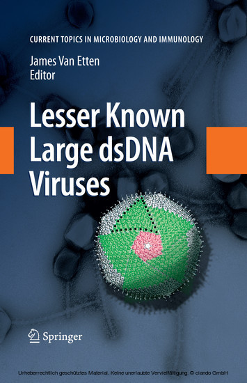Lesser Known Large dsDNA Viruses