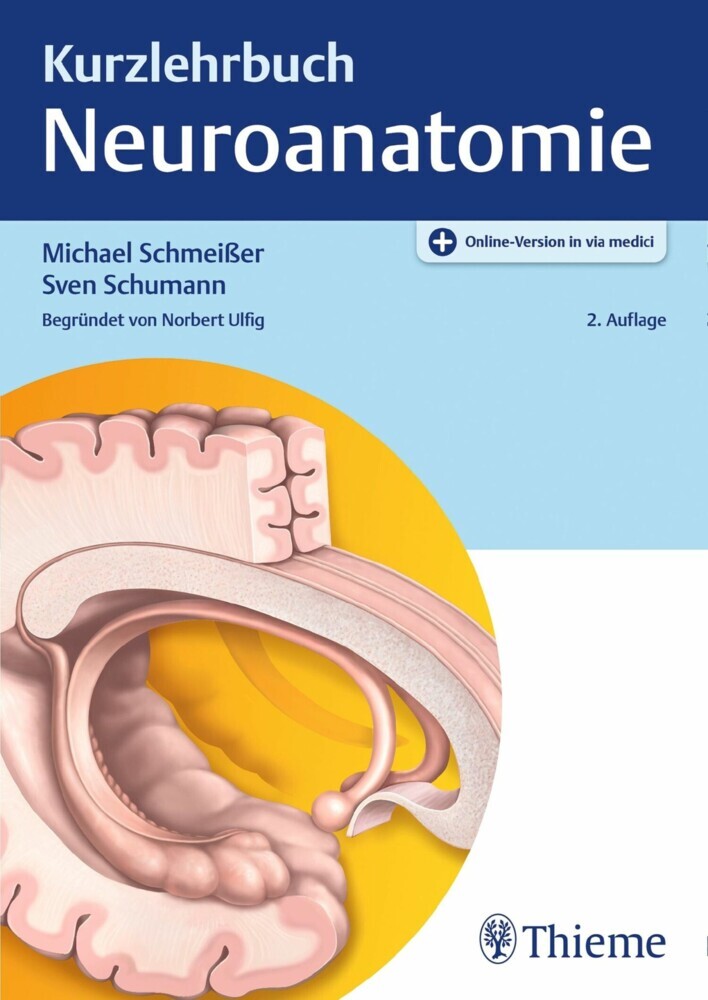 Kurzlehrbuch Neuroanatomie