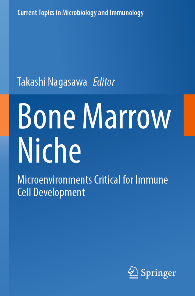 Bone Marrow Niche