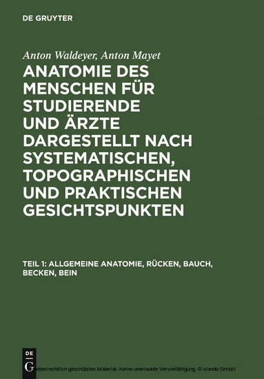 Allgemeine Anatomie, Rücken, Bauch, Becken, Bein