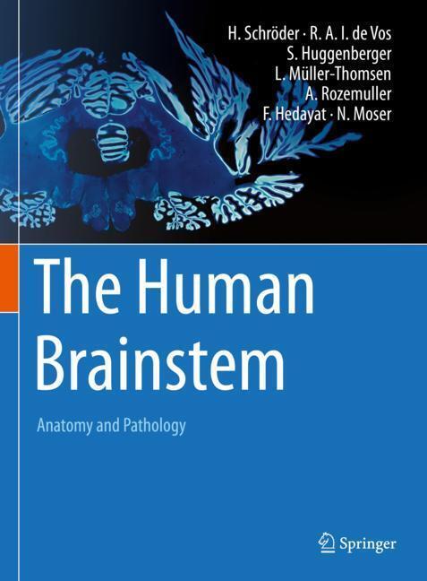 The Human Brainstem