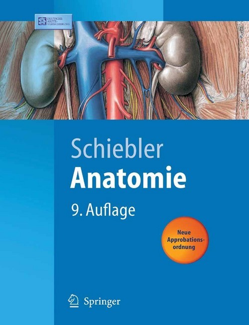 Anatomie