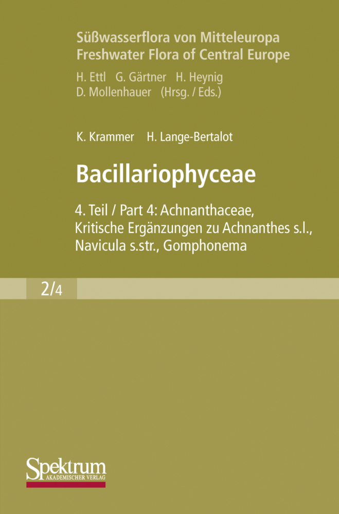 Bacillariophyceae. Tl.4
