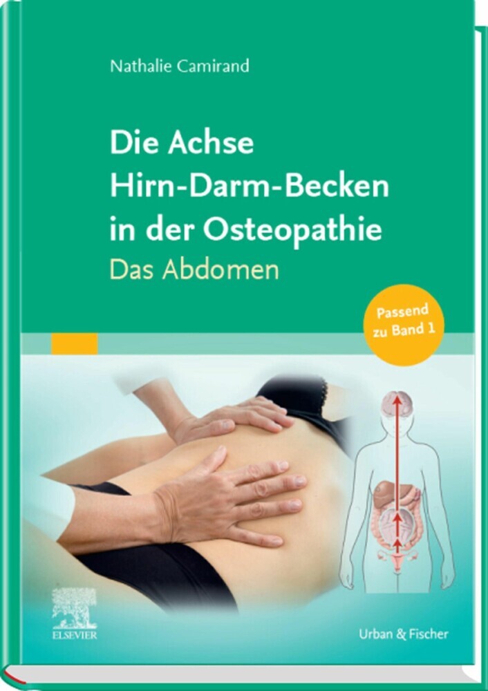 Die Achse Hirn-Darm-Becken in der Osteopathie