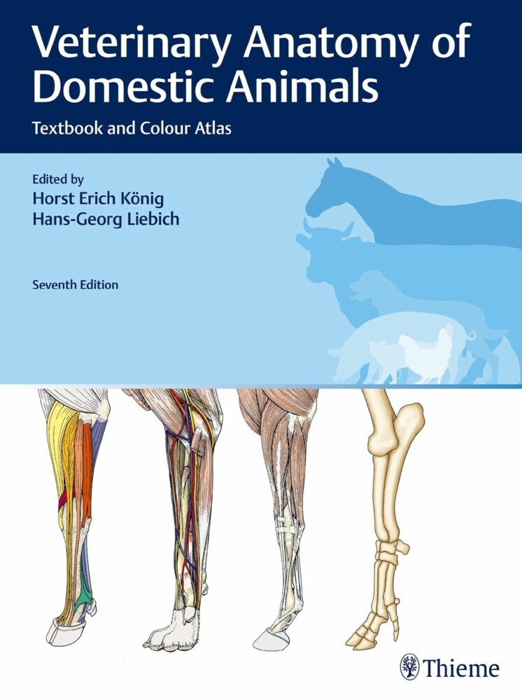 Veterinary Anatomy of Domestic Animals