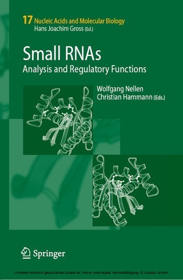 Small RNAs: