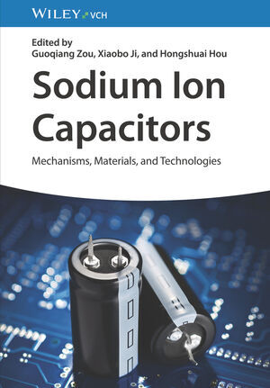 Sodium-Ion Capacitors