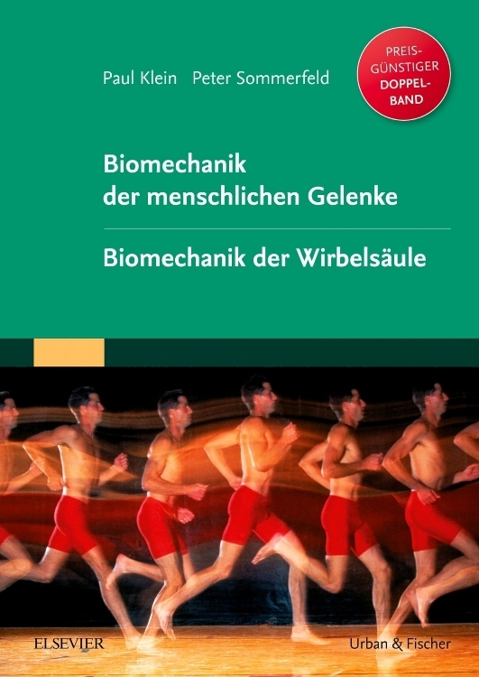 Biomechanik der menschlichen Gelenke. Biomechanik der Wirbelsäule