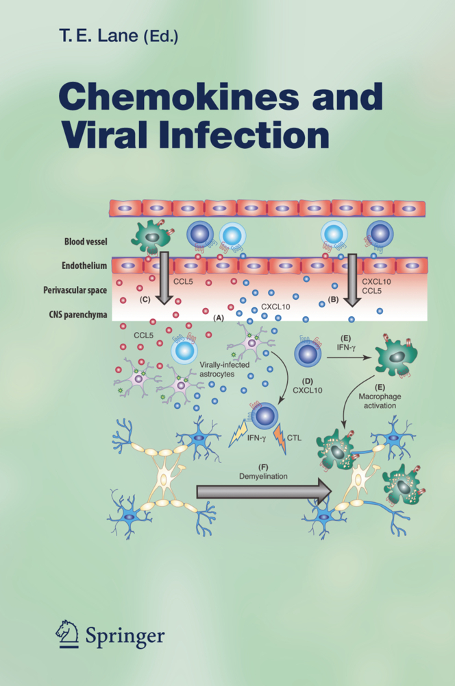 Chemokines and Viral Infection