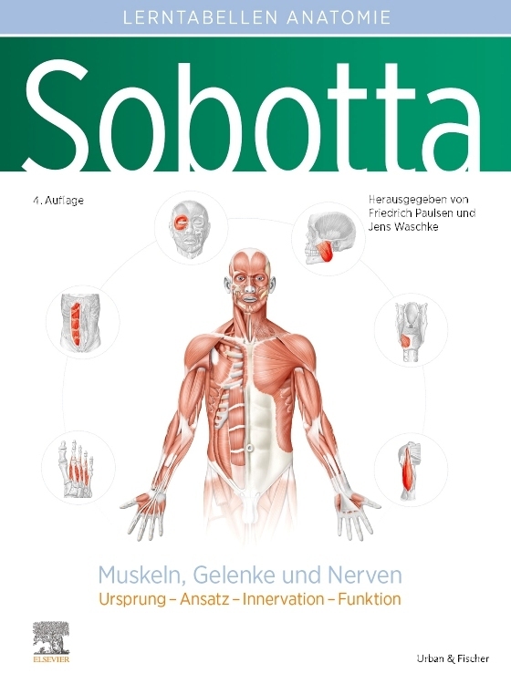 Sobotta Lerntabellen Anatomie Muskeln, Gelenke und Nerven