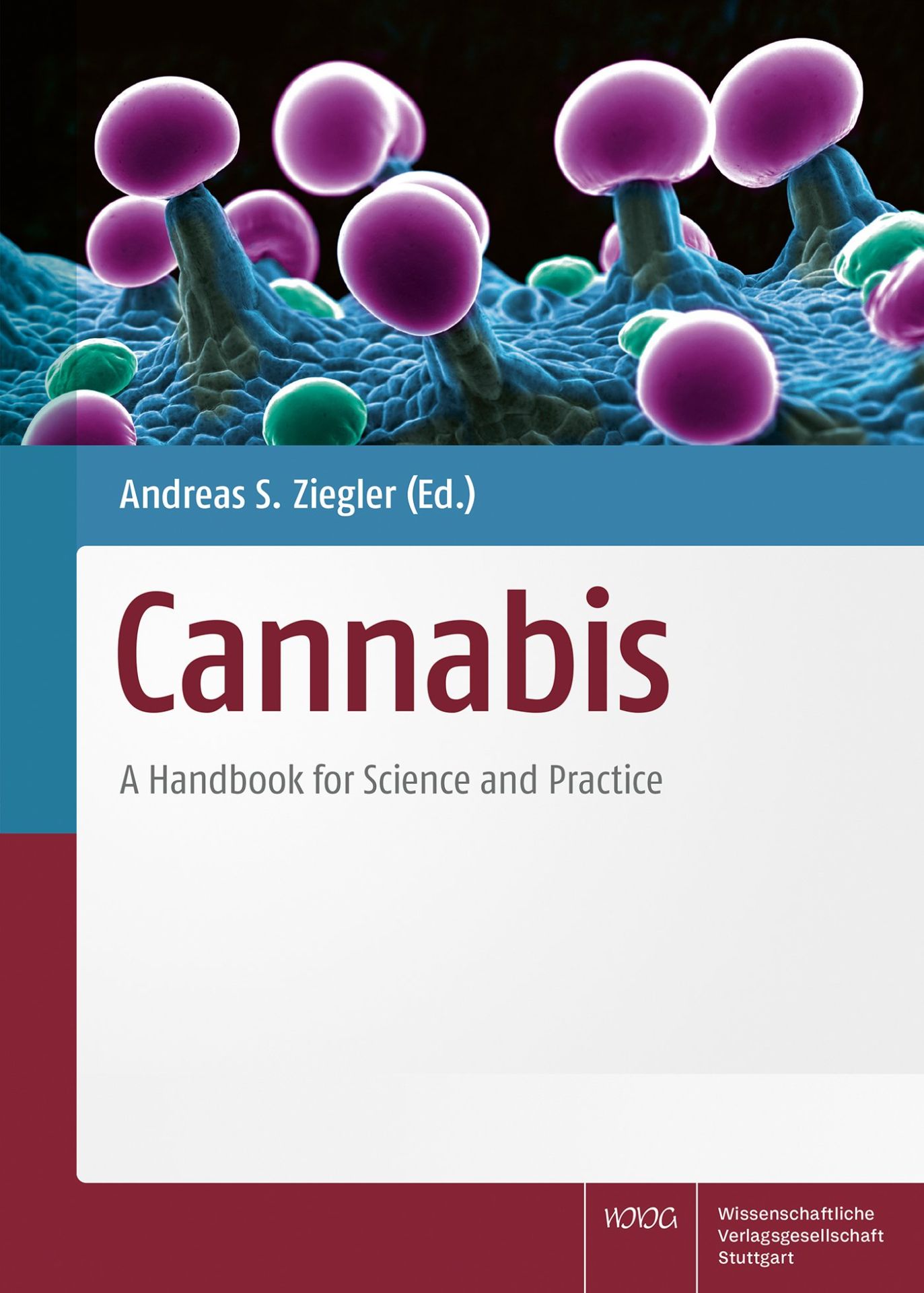 Das große PTAheute-Handbuch | Deutscher Apotheker Verlag